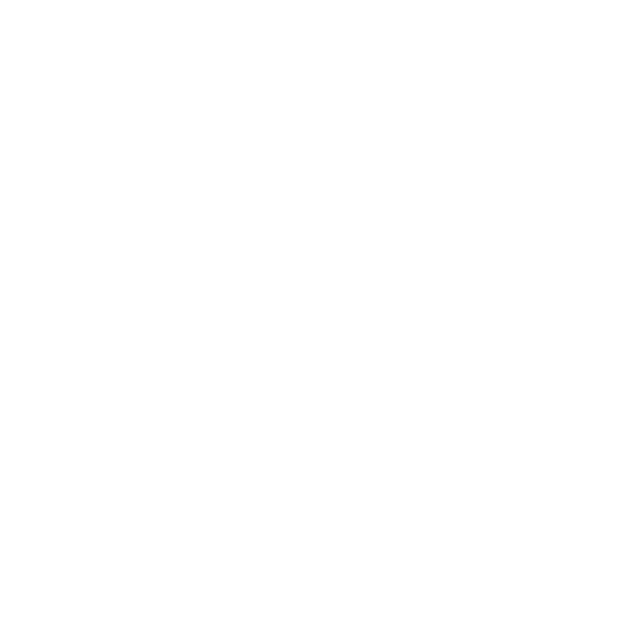 PIDDDS · Spinal Alignment